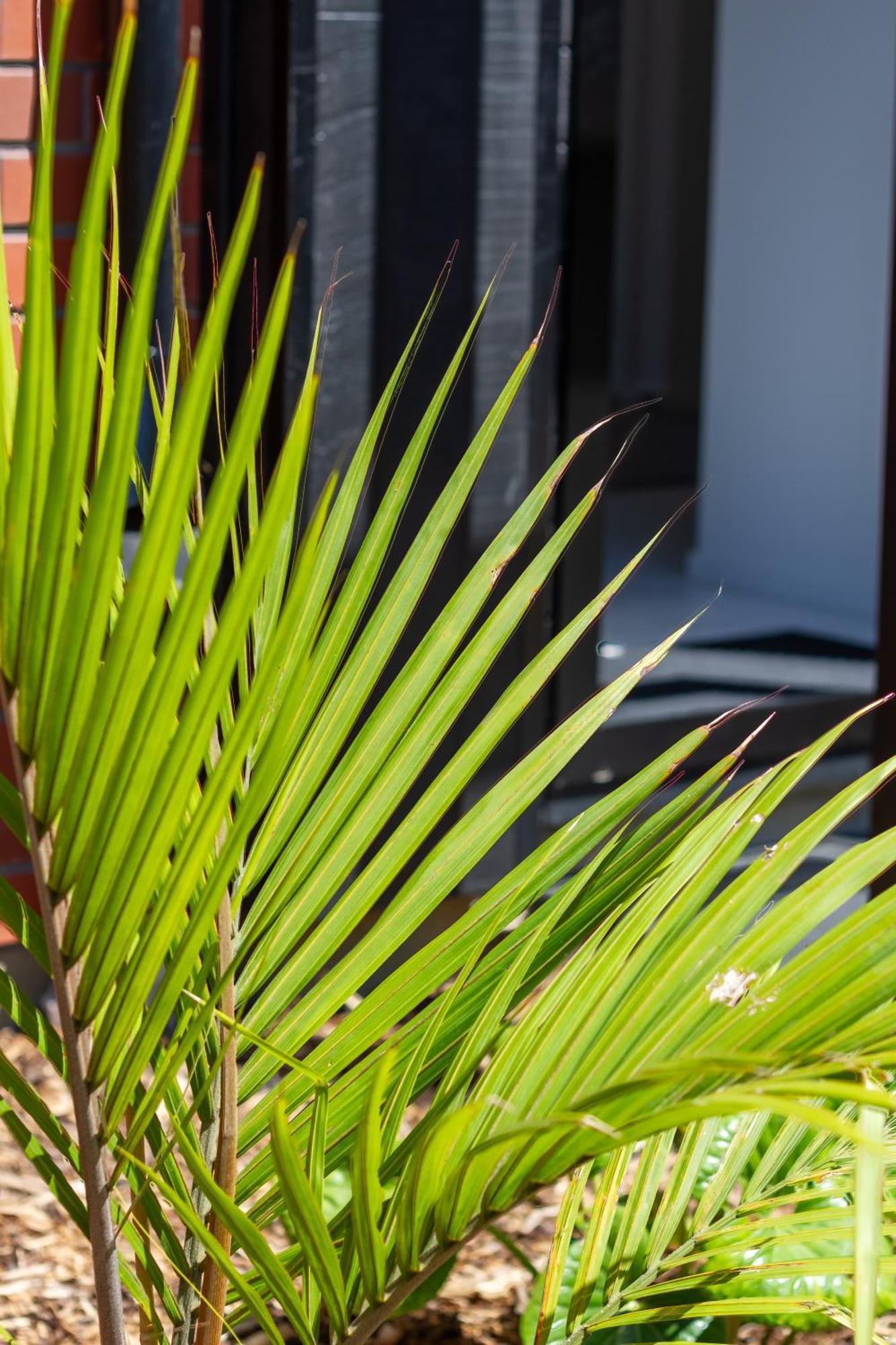 Conveniently Located 2Br Townhouse In West Akl Apartment Auckland Ngoại thất bức ảnh